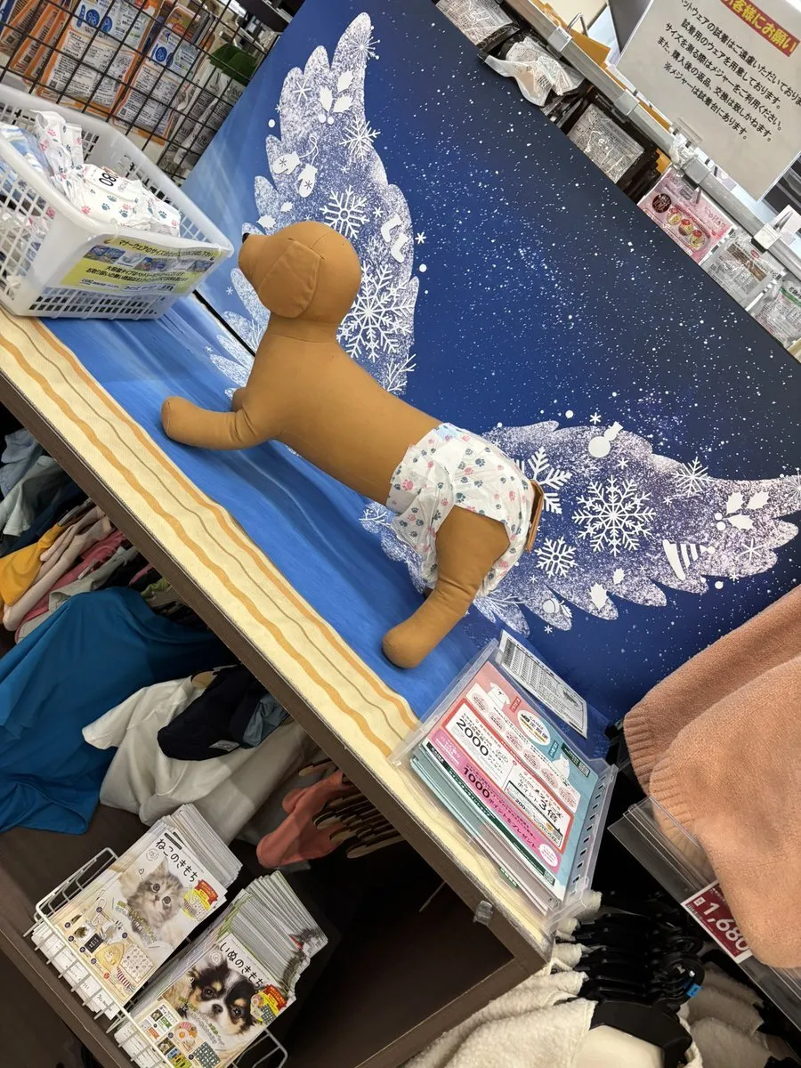 如月⭐️マダム名古屋❣️伏見メンエス@kisara_madam