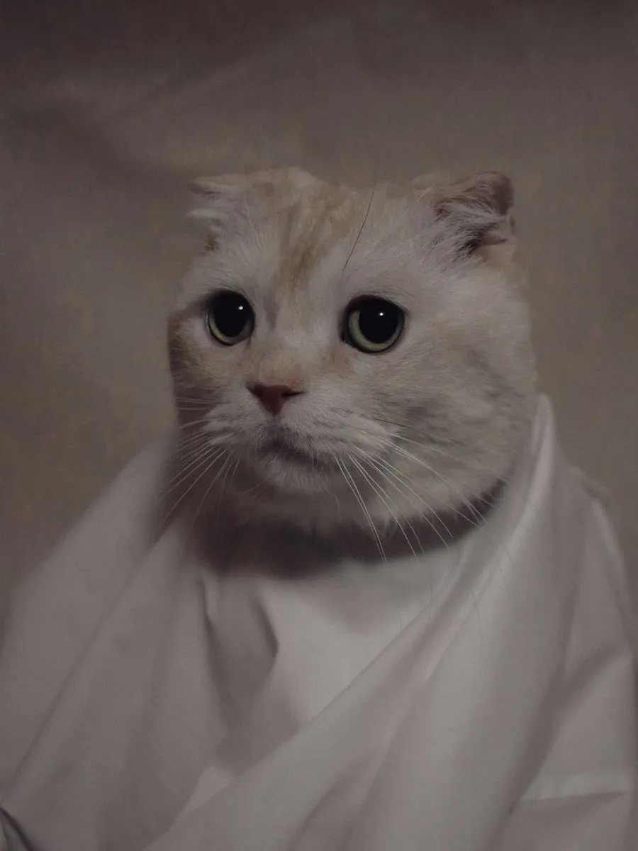 佐藤なみ@Na50500130