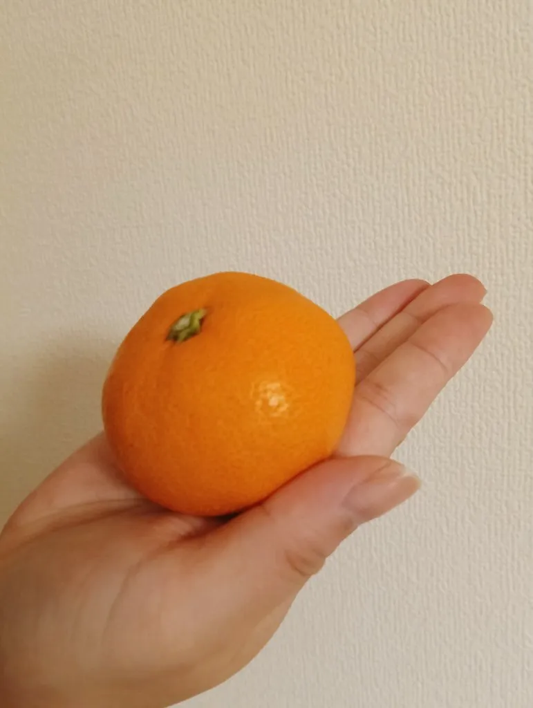 せいか＠ミルクスパ@SEIKA0426