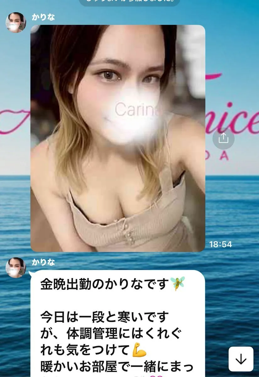 staff miho@staffmiho