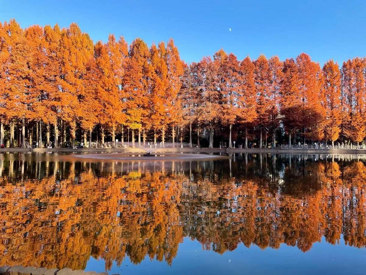 るな@nana0194691119