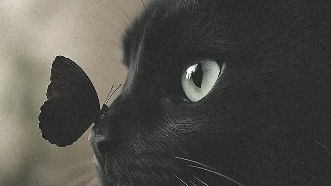 スパシーバ津￤リラクゼーションサロン@relaxation_tsu