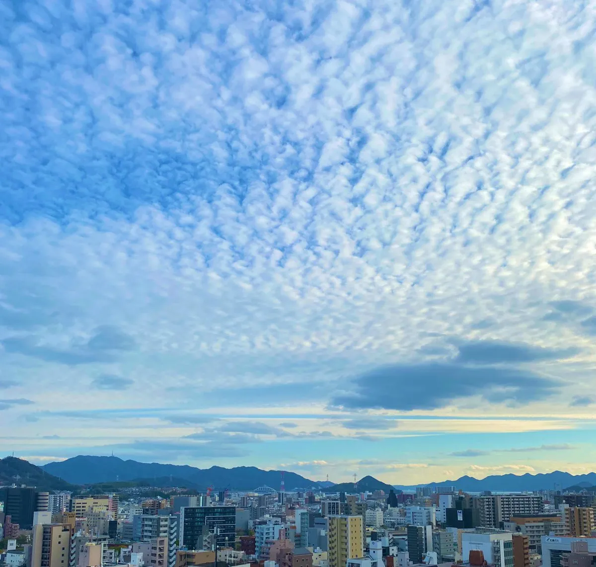 広島𝒕𝒉𝒆𝒓𝒂𝒑𝒊𝒔𝒕A💋@ayami_ni_na