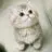 にいな