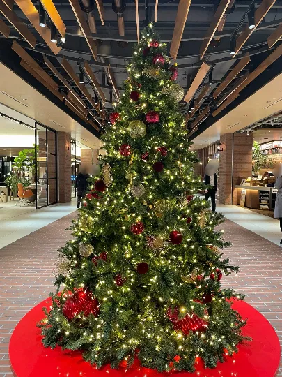 🍋愛河 🍋Aikawa🍋セラピスト