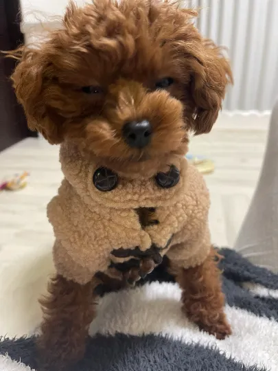 ミス⚫︎⚫︎セラピのえみ