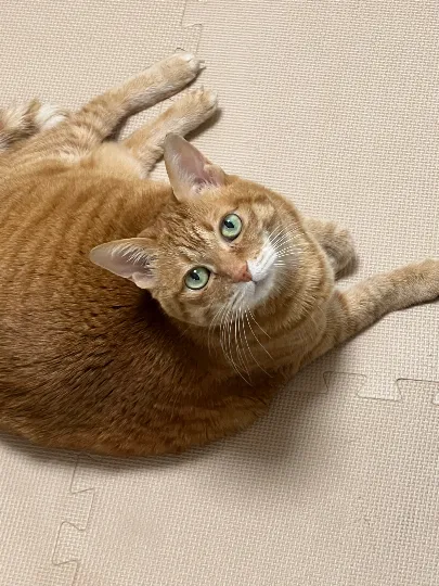 おかあさんとぼく@朝川みみ