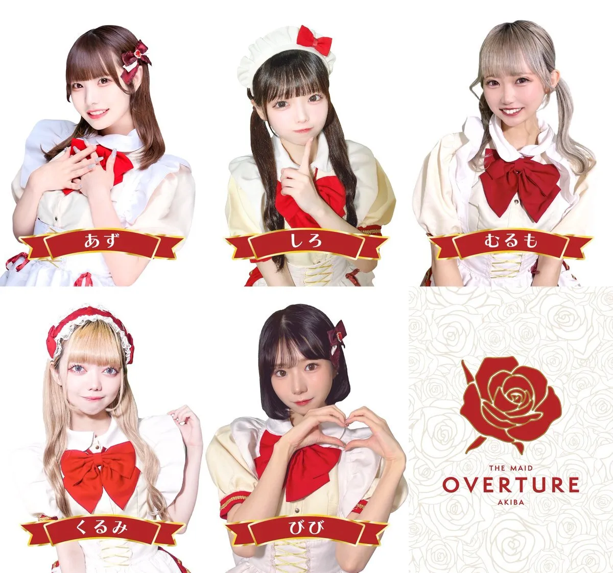 OVERTURE(オーバーチュアー)🥀秋葉原コンカフェ@overture_akiba