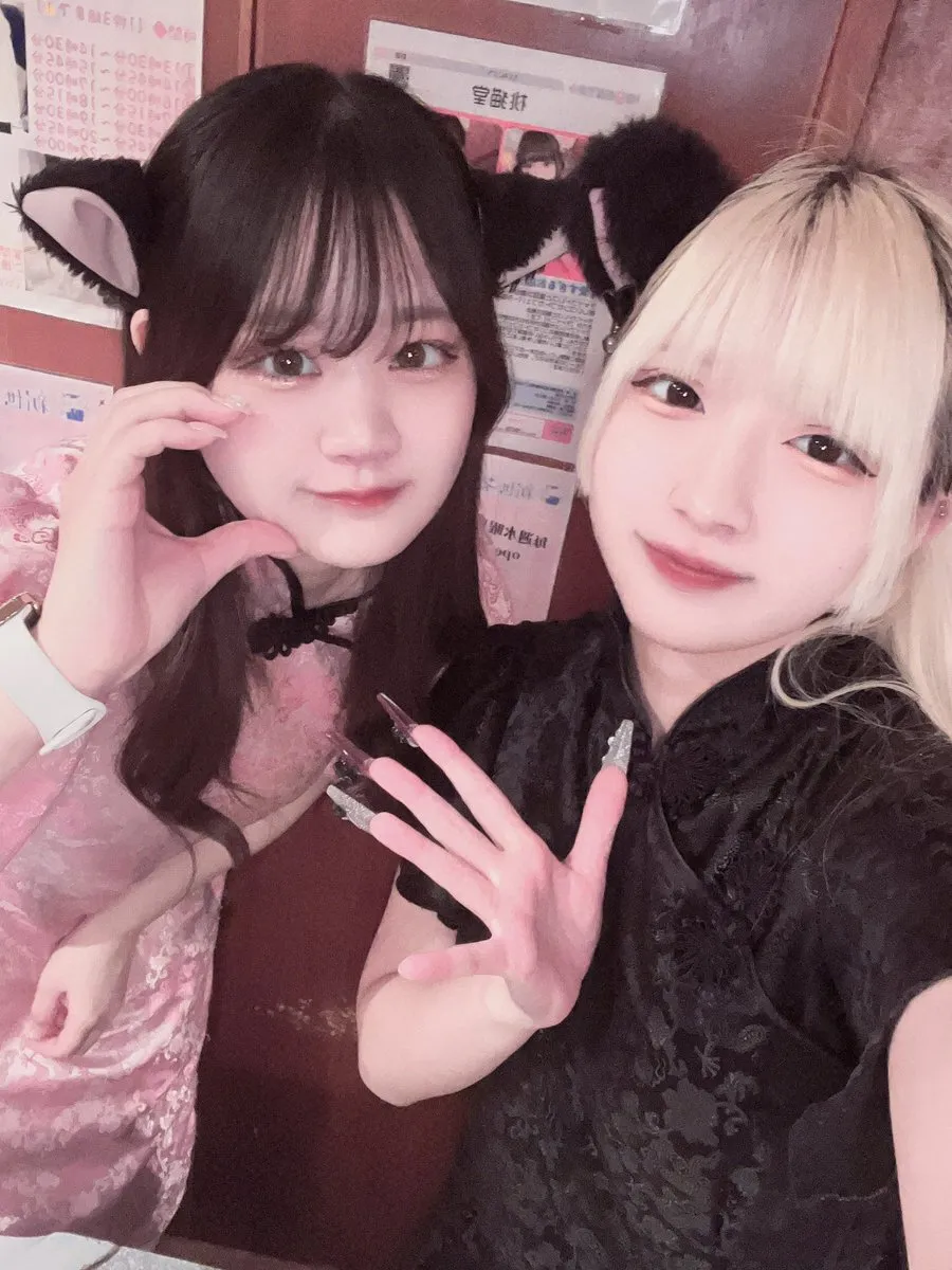 チャイニャコンカフェ桃猫堂 新宿歌舞伎町@コンカフェ最大手@momonekodou001