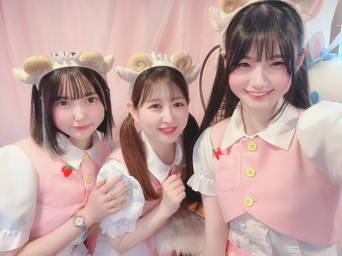 秋葉原 メイドカフェ 🐏フラペコ -frapeco-🍓@frapeco_akiba