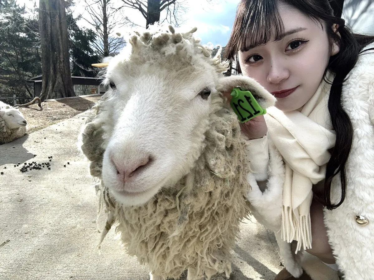 ちか@眠れあ@chica_realize