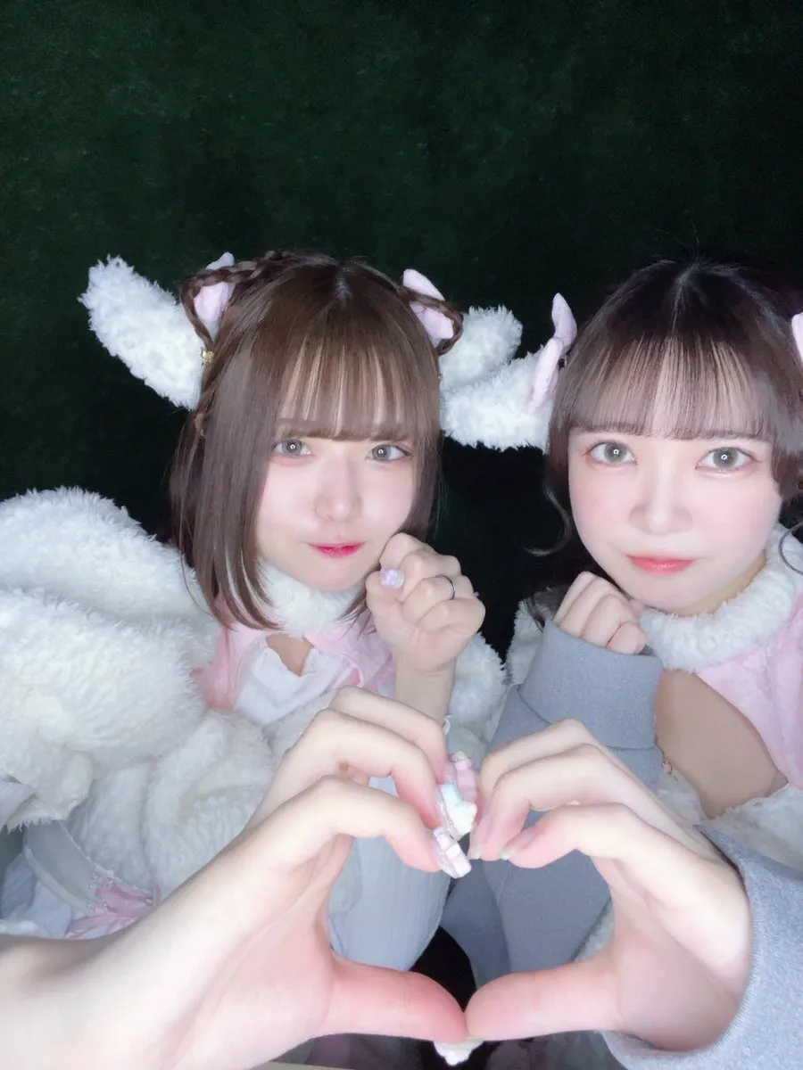 荻窪コンカフェ ひつじ屋さん🐏🌳@Meleap_2024