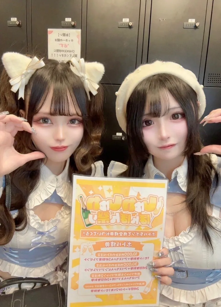 Alice × Alice アリス×アリス 秋葉原コンカフェ@AlicexAlice_Tea