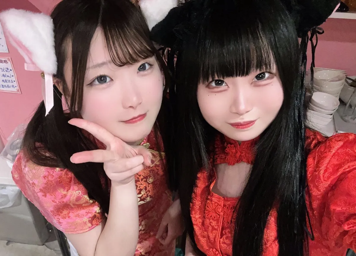 桃猫堂秋葉原店🐾コンカフェ最大手✴️@momonekodou002