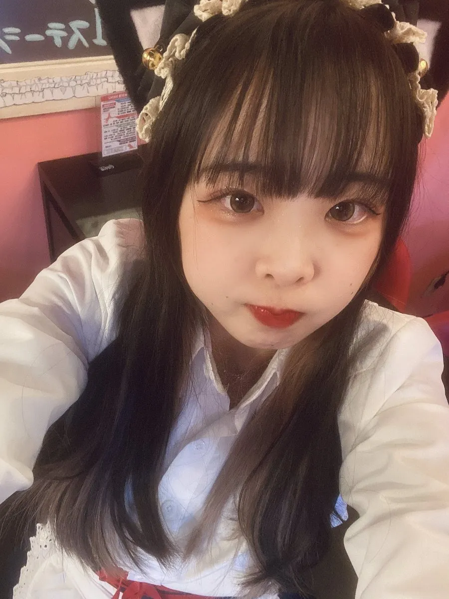 めい@みけねこカフェ秋葉原@meimikecat