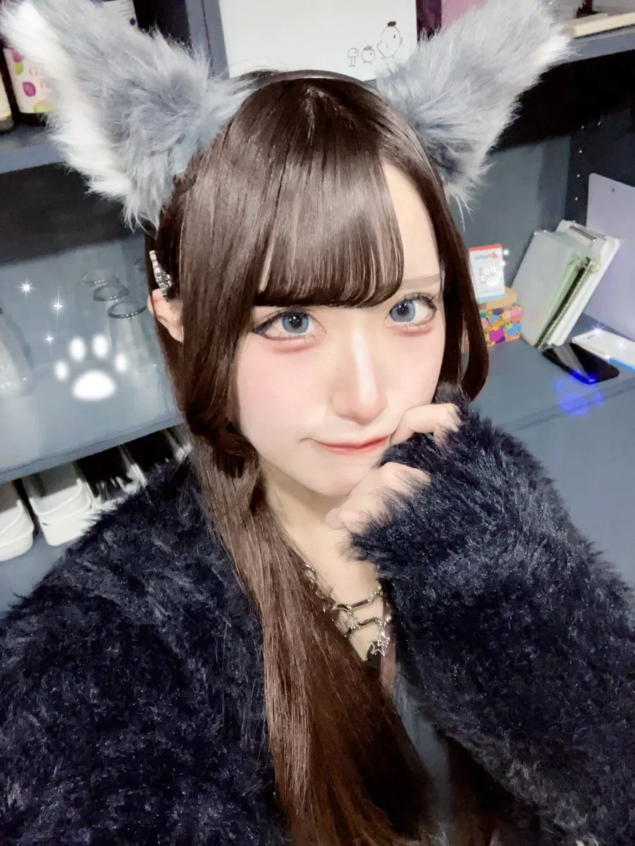 らぴ🐺✧@Lapi_forest