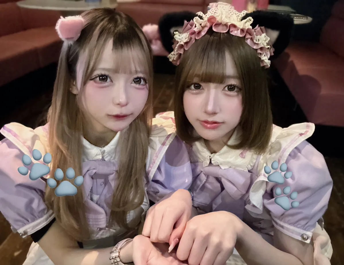 TeALICe (てぃありす)🫖秋葉原 コンカフェ@TeALICe_cafe