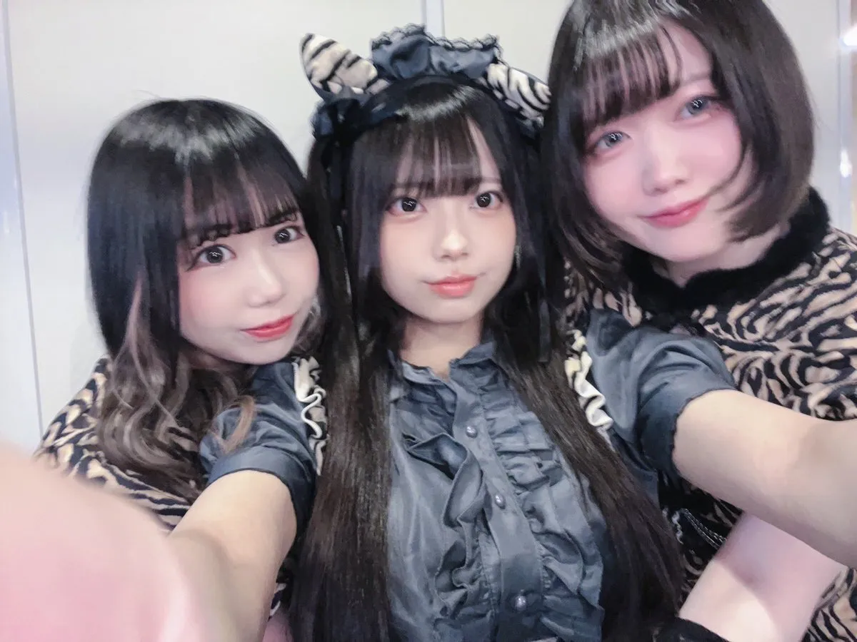 メイド喫茶ぷりもふぃ〜ね仙台店@purimo_sendai