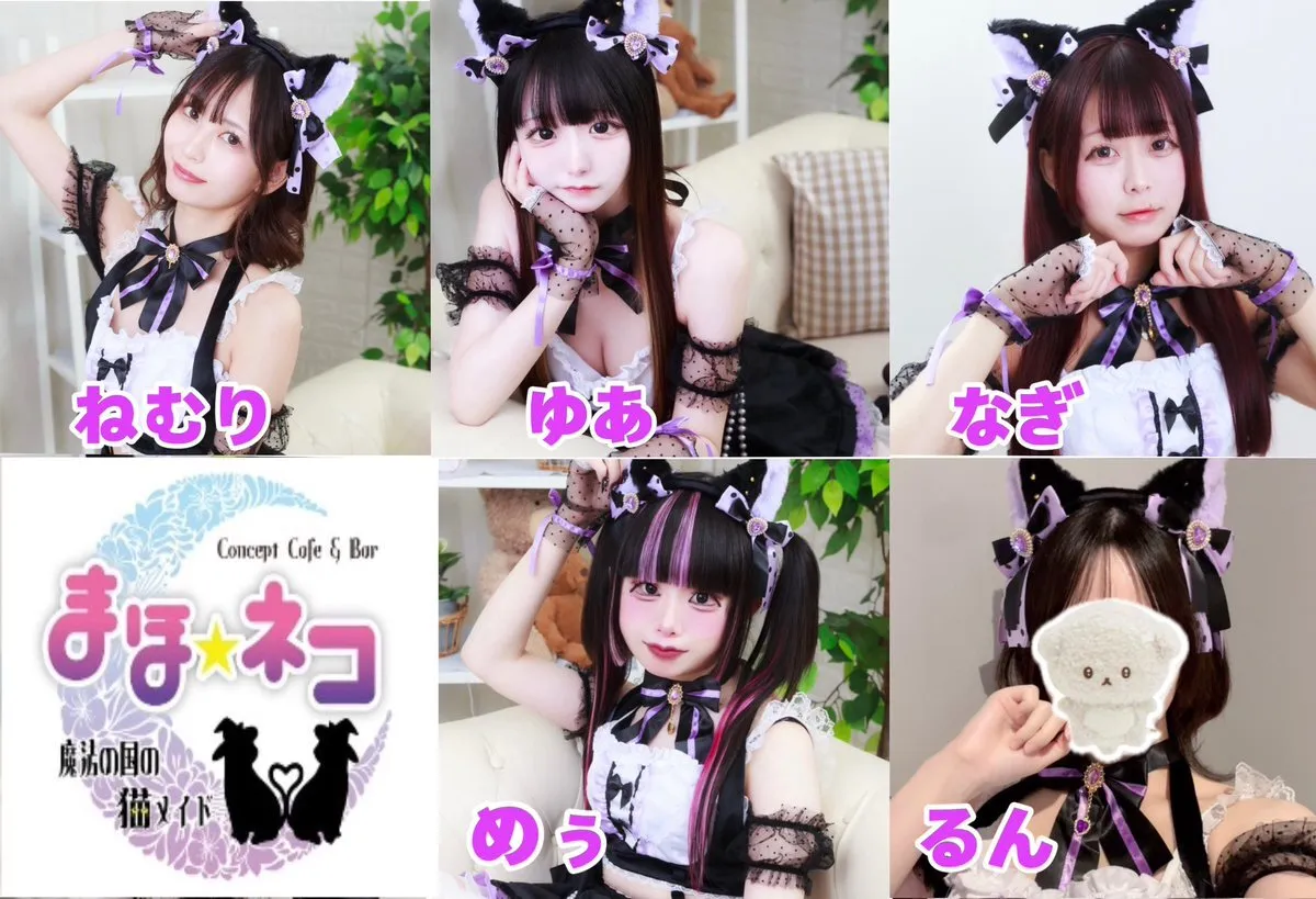 【キャスト募集中】まほネコ🐈‍⬛魔法の国の猫メイド【コンカフェ】@mahoneko_cafe