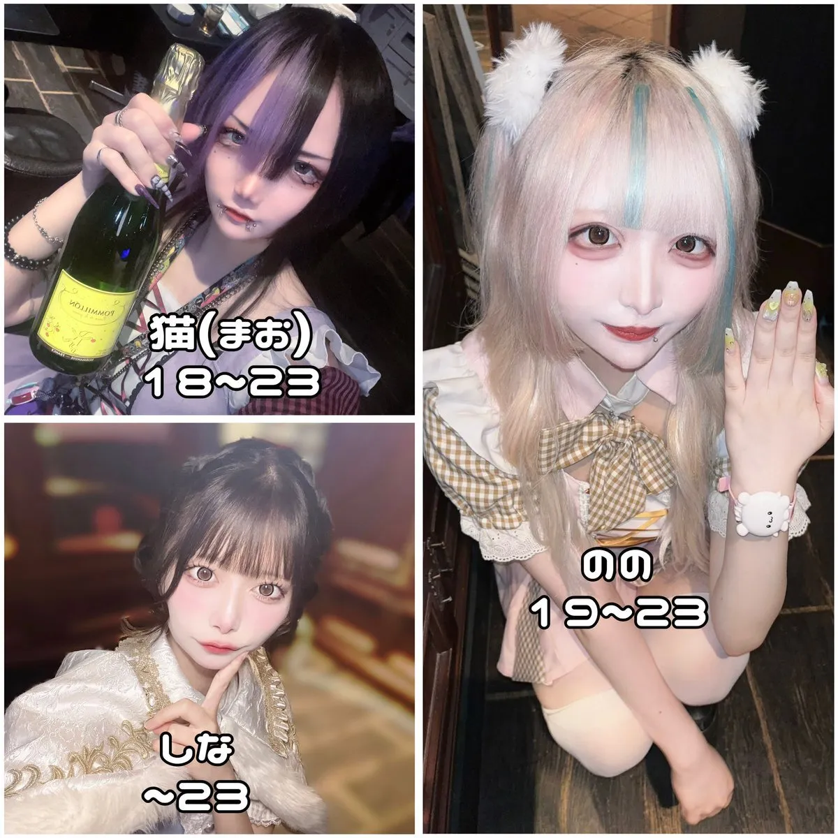 Starry Paradise@StarryParadise_