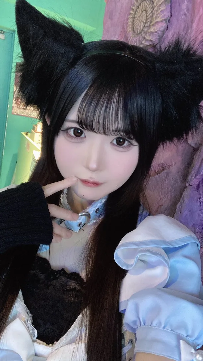 うみねこ@まーめいど@mermaid_umineko