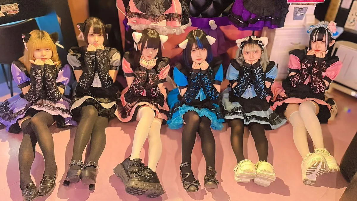 仙台にゃんこメイドバー💜Nyanpontan@bar_nyanpontan