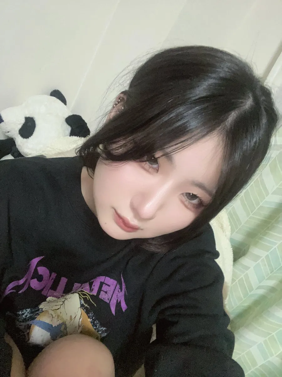 いぬごや@dog__jelly
