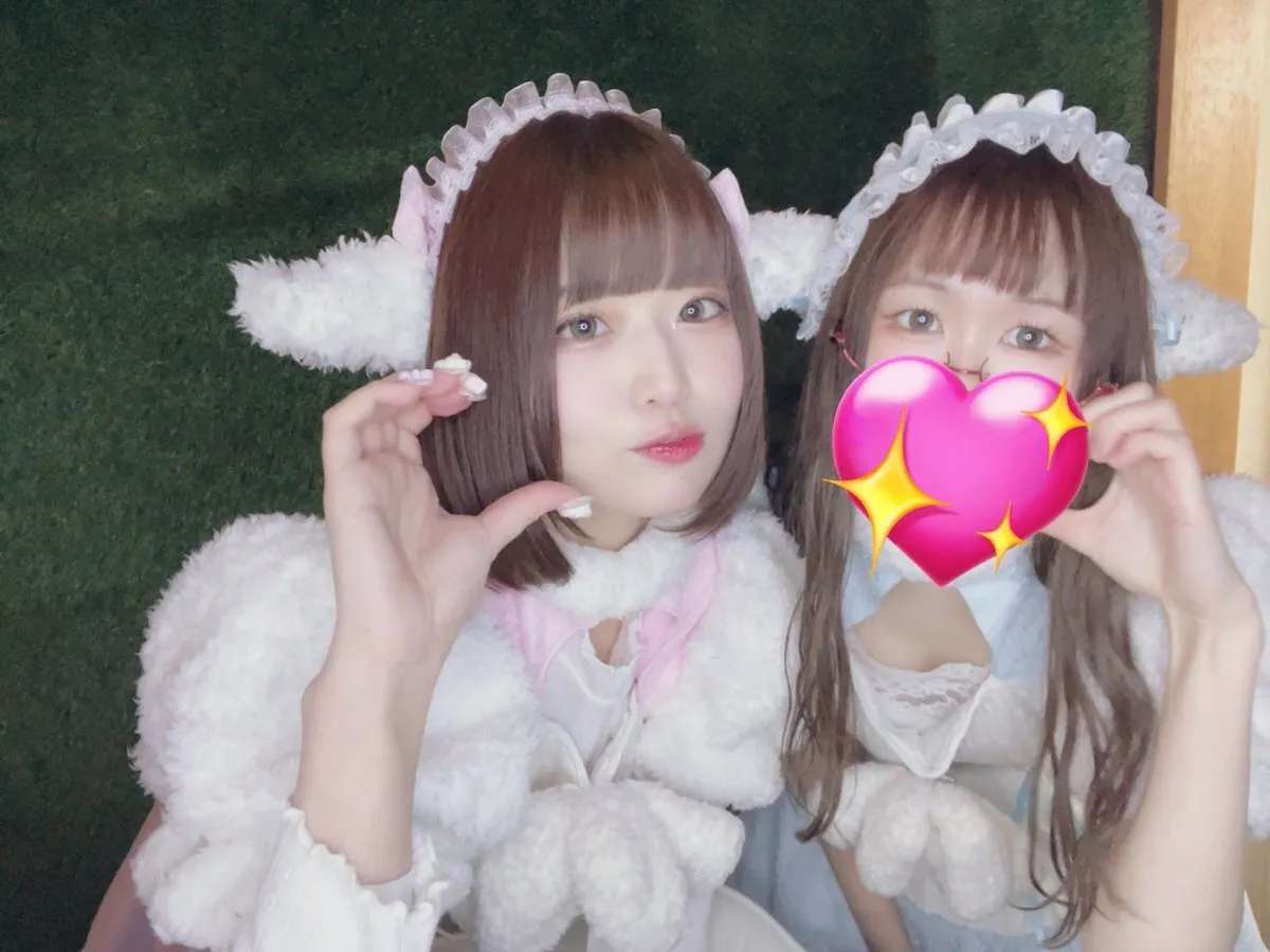 荻窪コンカフェ ひつじ屋さん🐏🌳@Meleap_2024