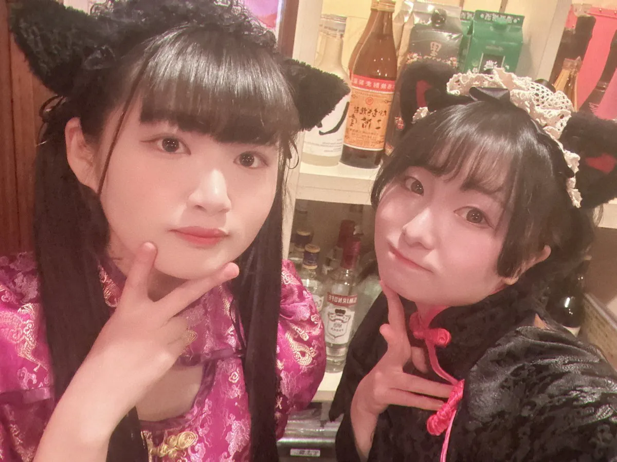 桃猫堂横浜店🐱コンカフェ最大手@momoneko_ykhm