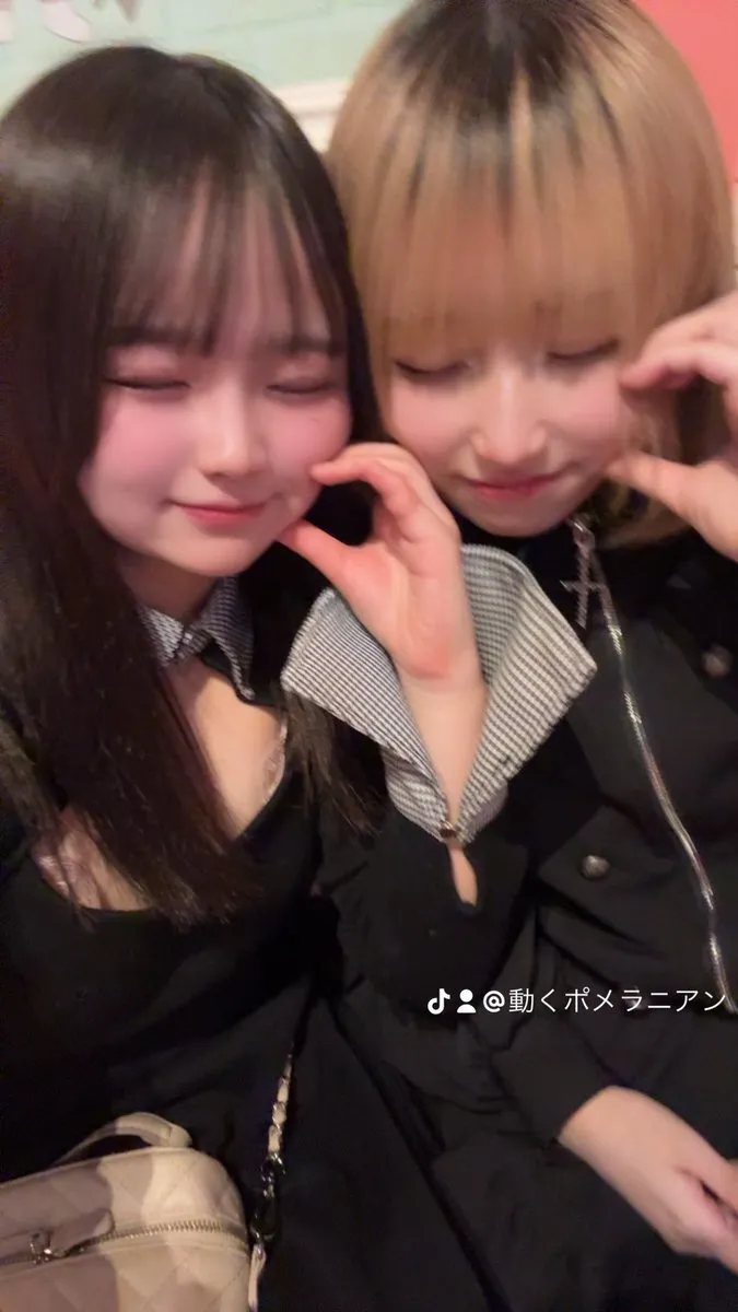 動くポメラニアン@ookamichan_ayak
