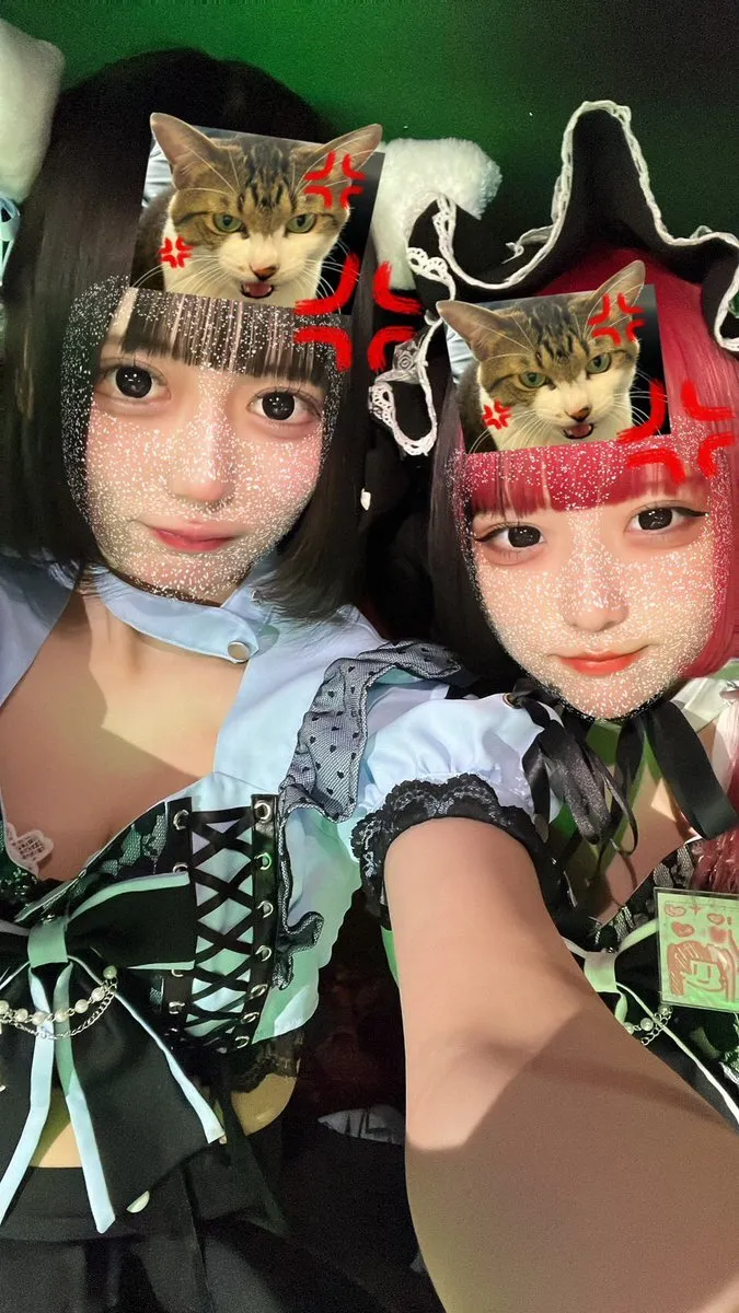 【秋葉原コンカフェ】あるこほりっく(16:00〜25:00)@alcoholic_akiba