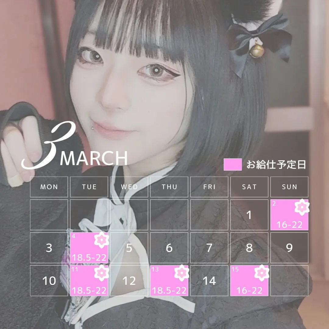 きむら🐼@67kimurq