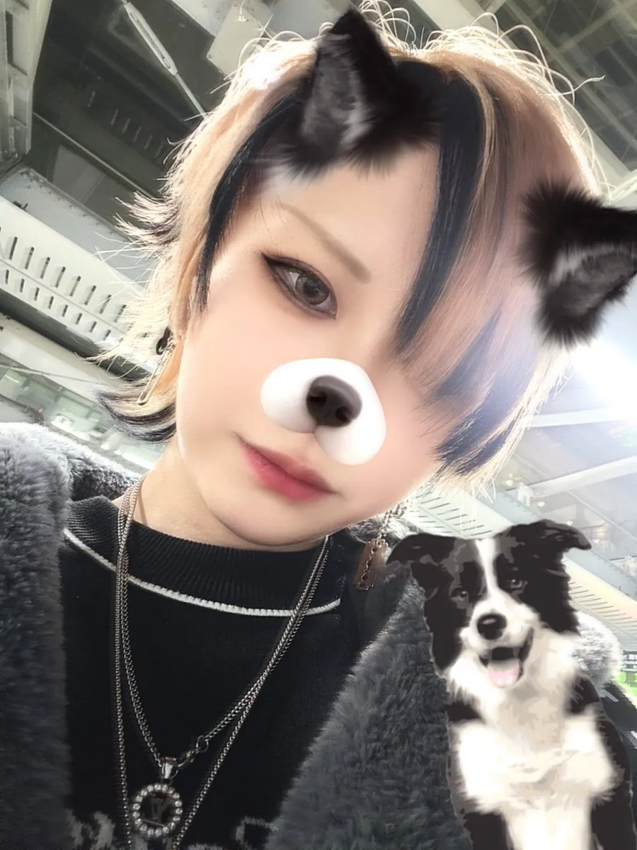 理斗@Ritoxx_mixguise