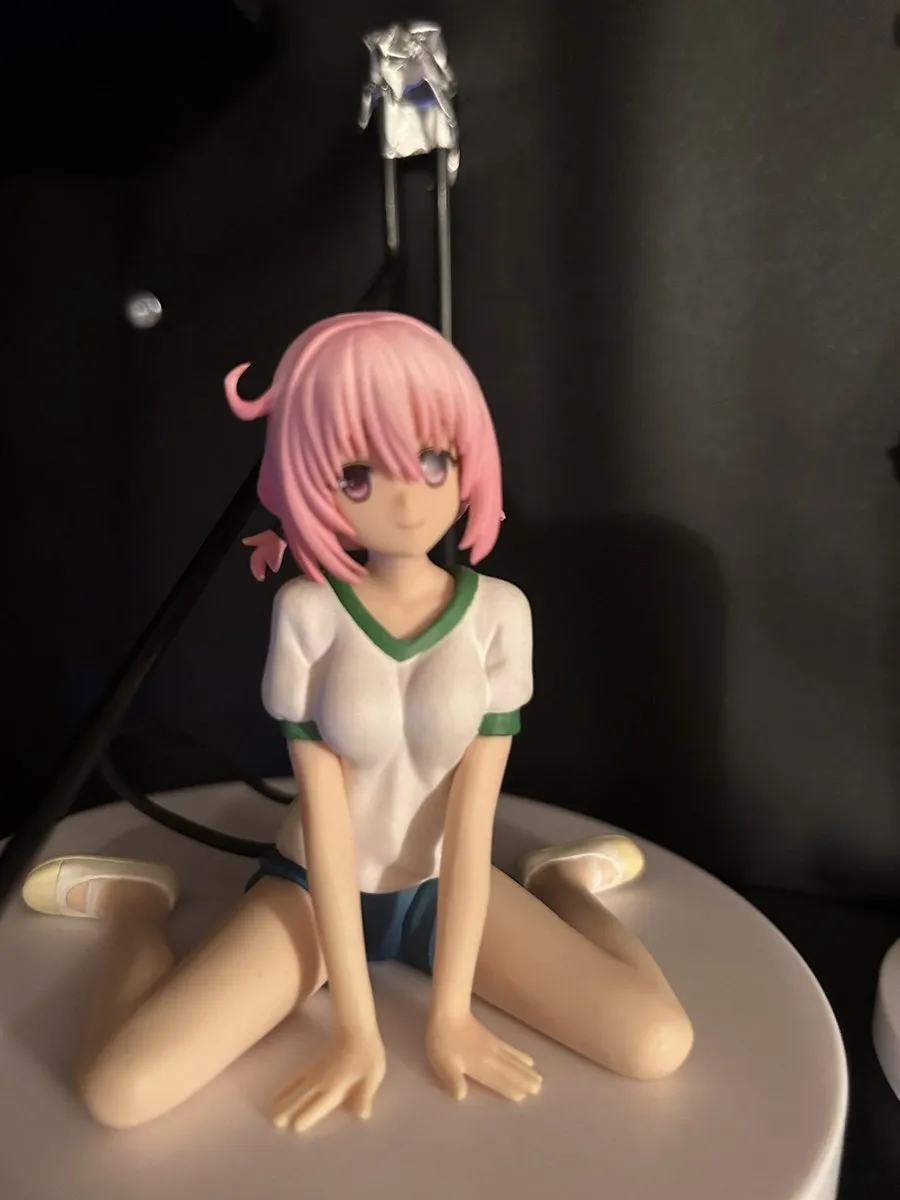 娘ねこBAR あるふ@arufu_nekoneko