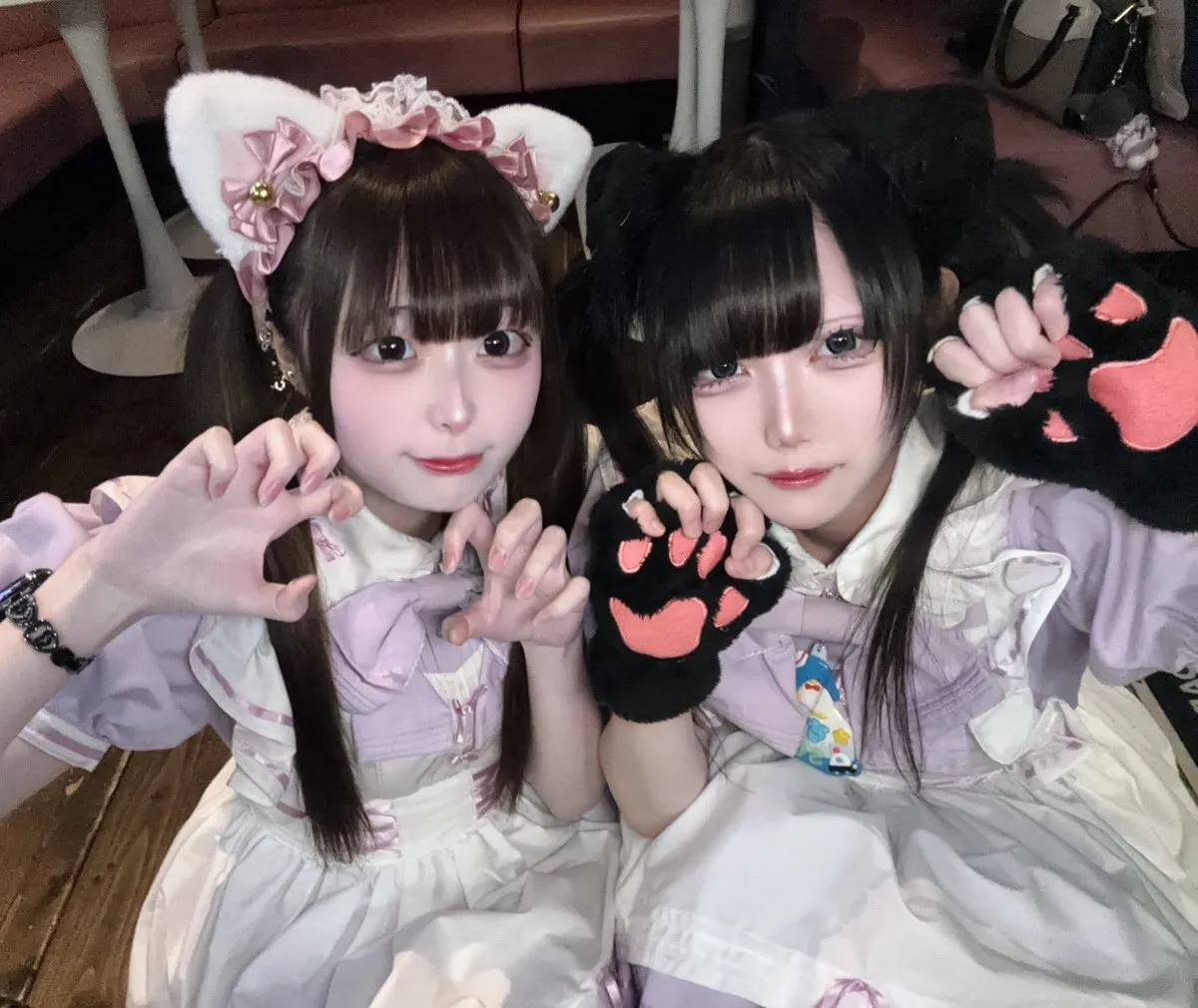 TeALICe (てぃありす)🫖秋葉原 コンカフェ@TeALICe_cafe