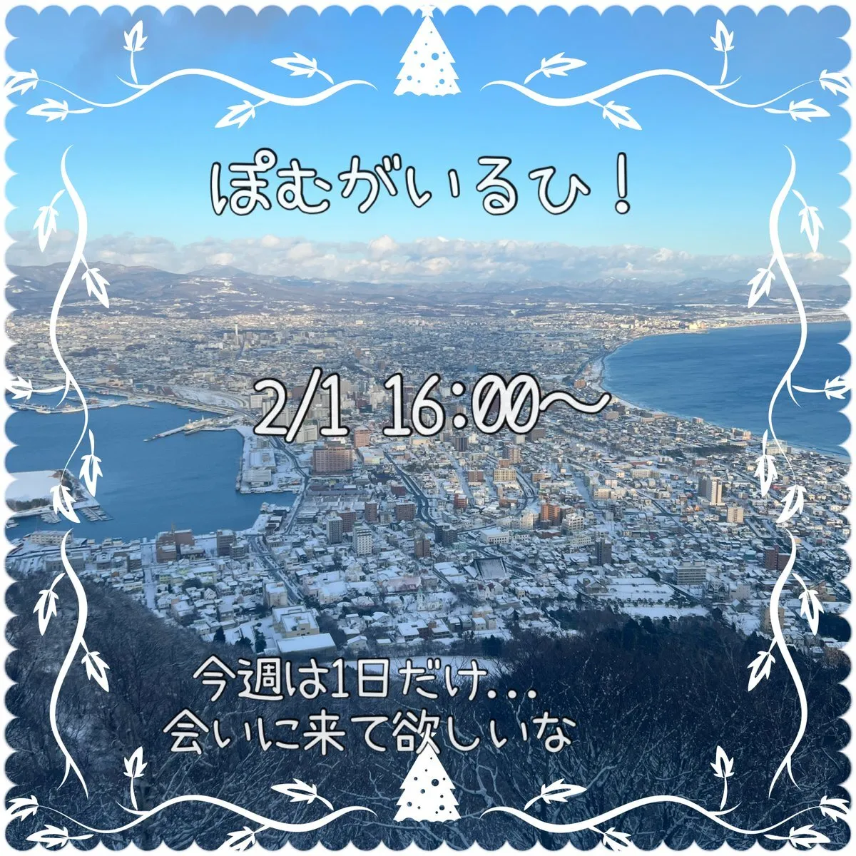 ぽむ@みけねこカフェ池袋@pomumikecat