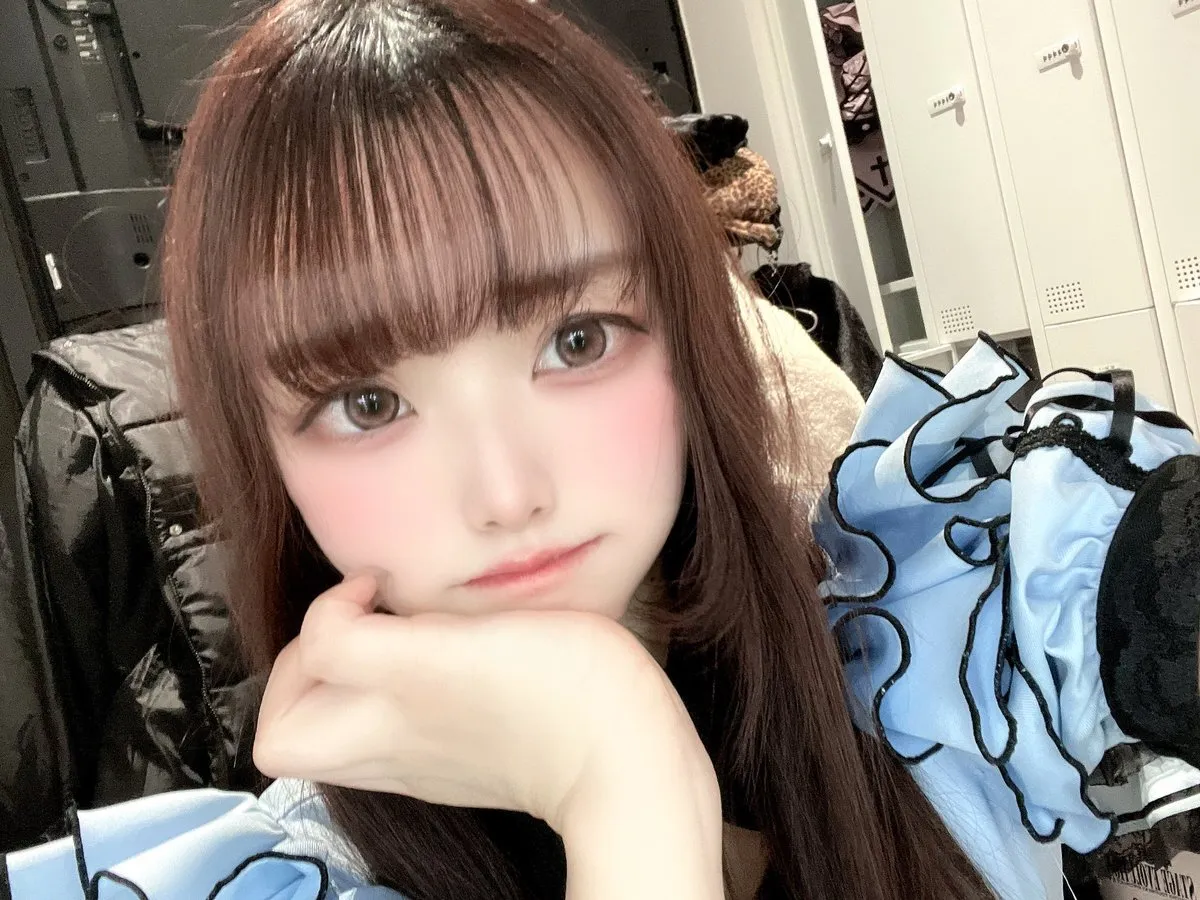 う詐欺♥りたん🐇🤍@Felis_Usagitan