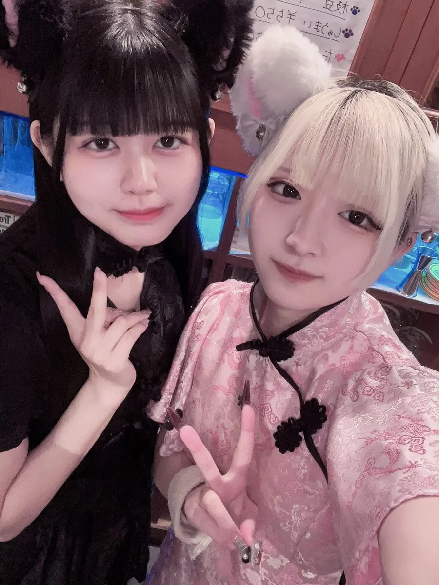 チャイニャコンカフェ桃猫堂 新宿歌舞伎町@コンカフェ最大手@momonekodou001