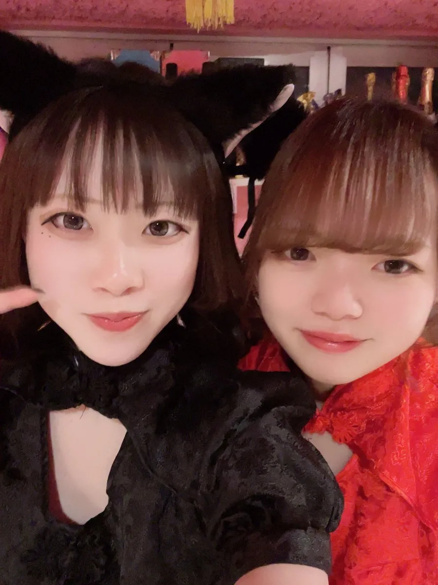 桃猫堂秋葉原店🐾コンカフェ最大手✴️@momonekodou002