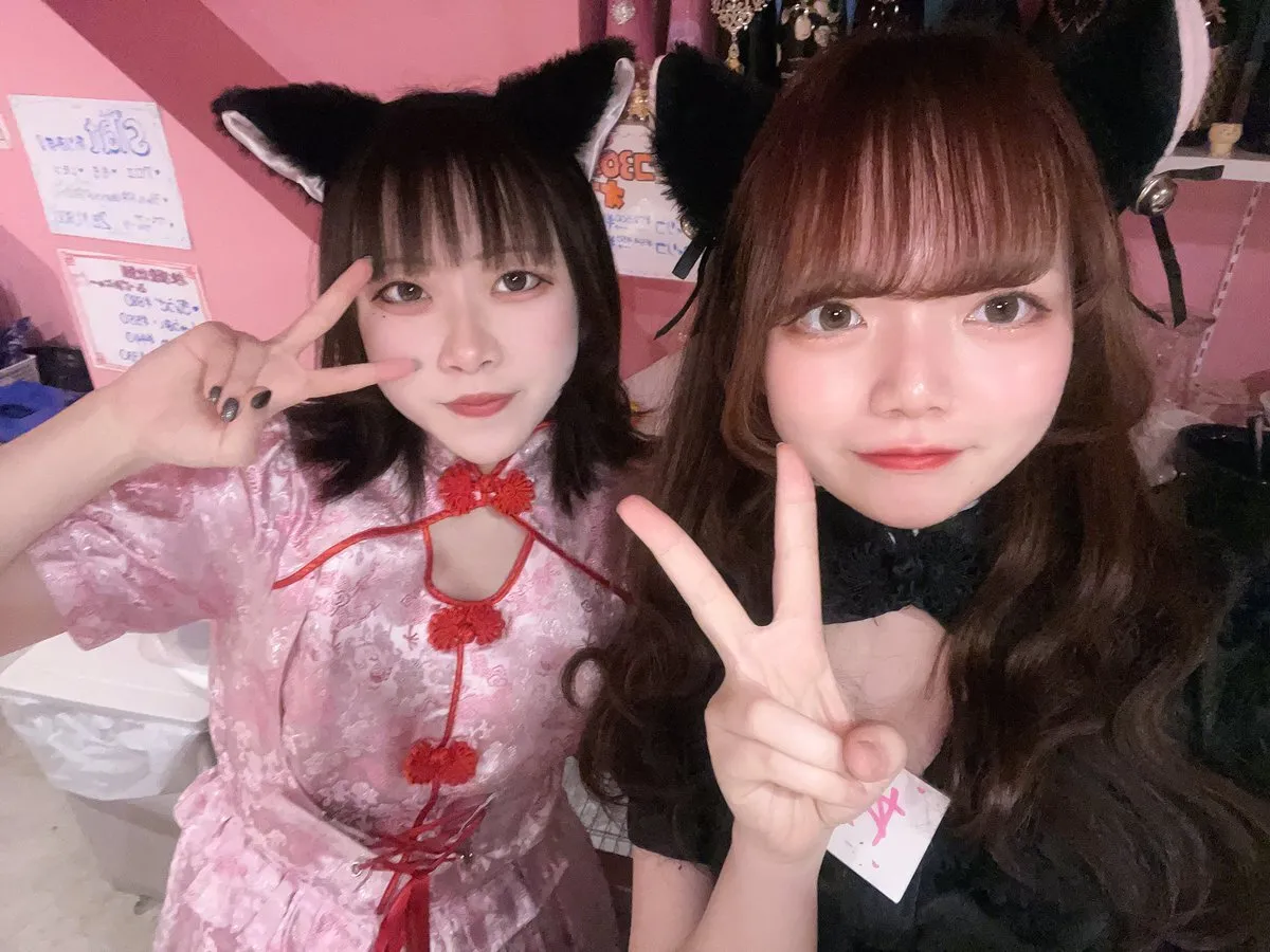桃猫堂秋葉原店🐾コンカフェ最大手✴️@momonekodou002