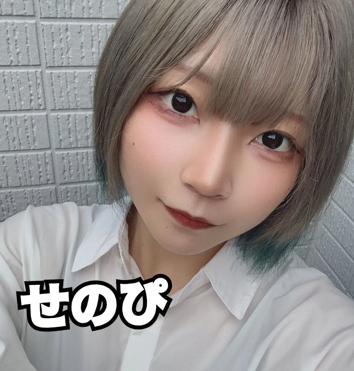 桃猫堂秋葉原店🐾コンカフェ最大手✴️@momonekodou002