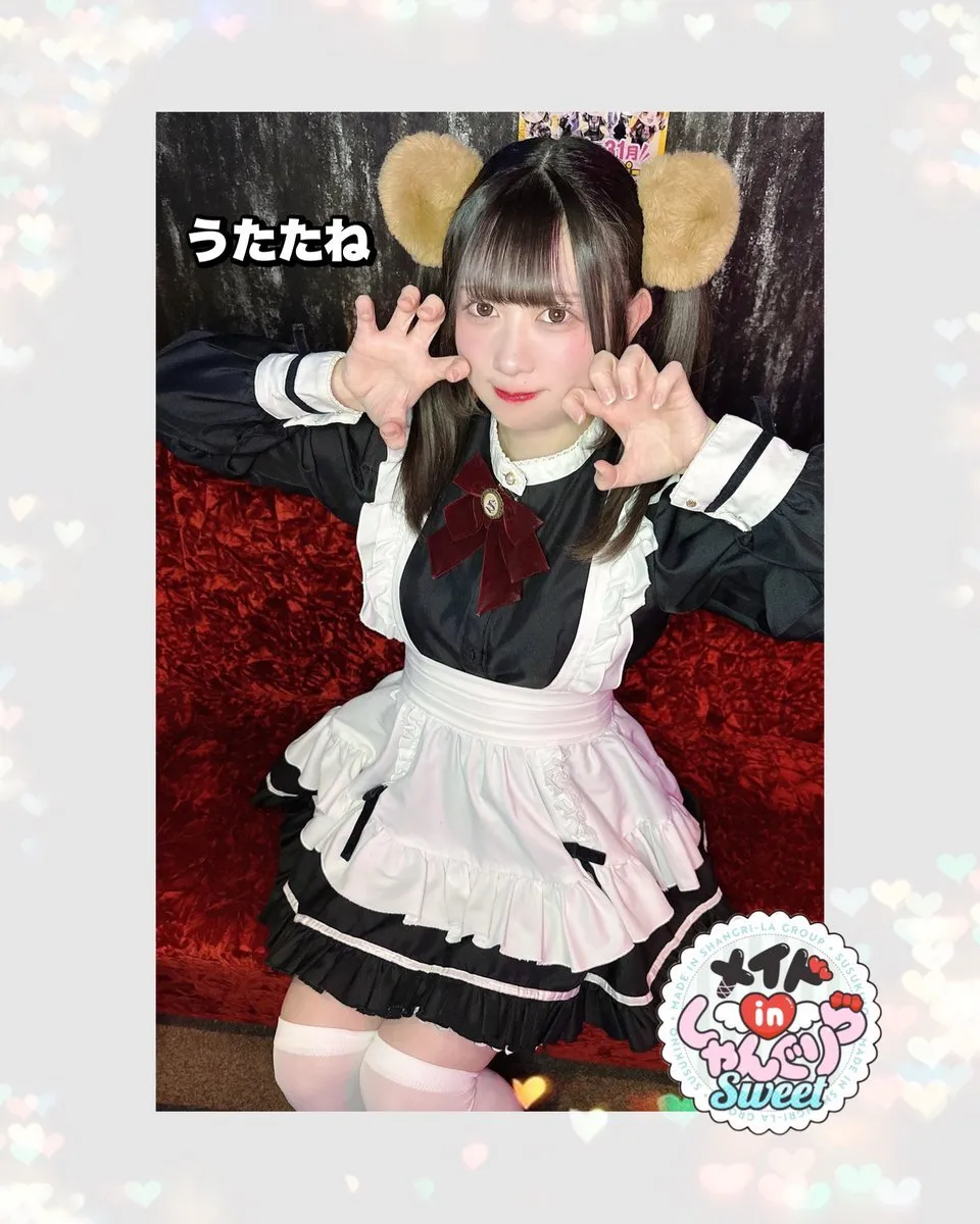 キャスト募集 メイドinしゃんぐりら 札幌すすきのコンカフェ@madeinshangrila