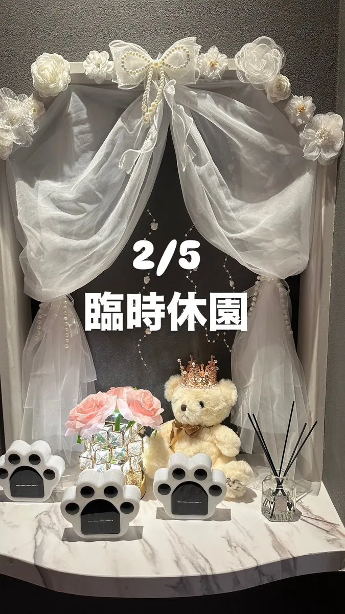 あにまるコンカフェ【もふらんど🐾】帯広@animal_mofuland