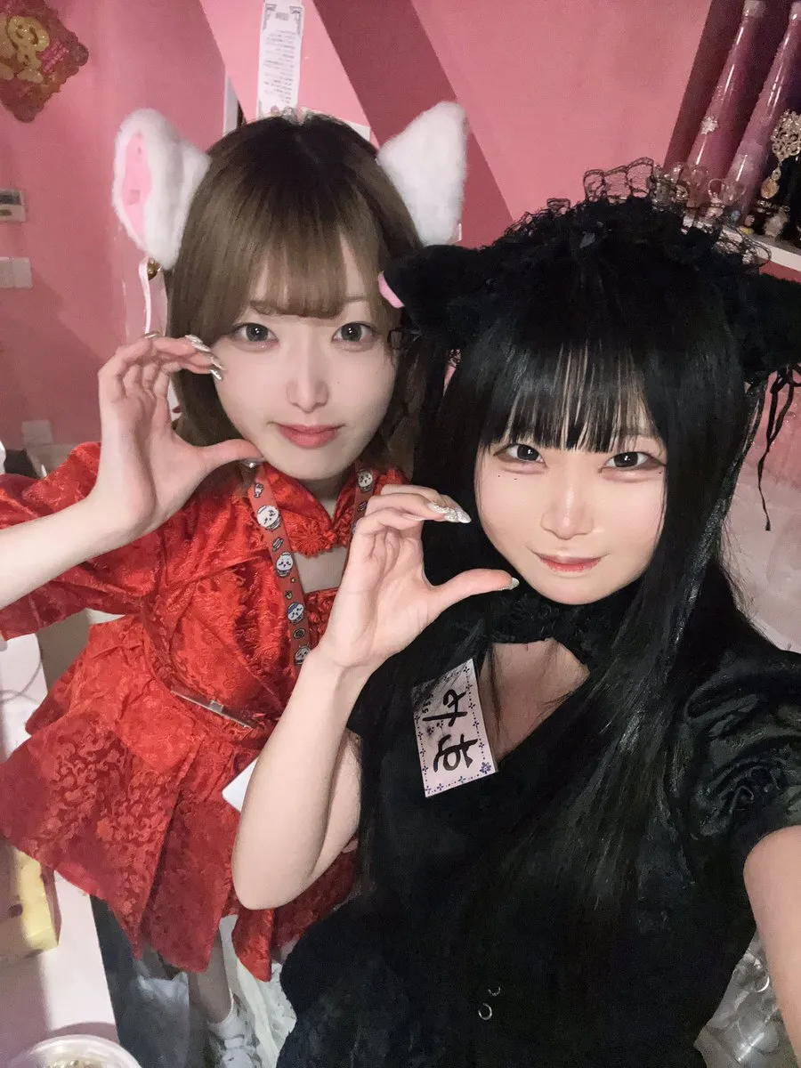 桃猫堂秋葉原店🐾コンカフェ最大手✴️@momonekodou002