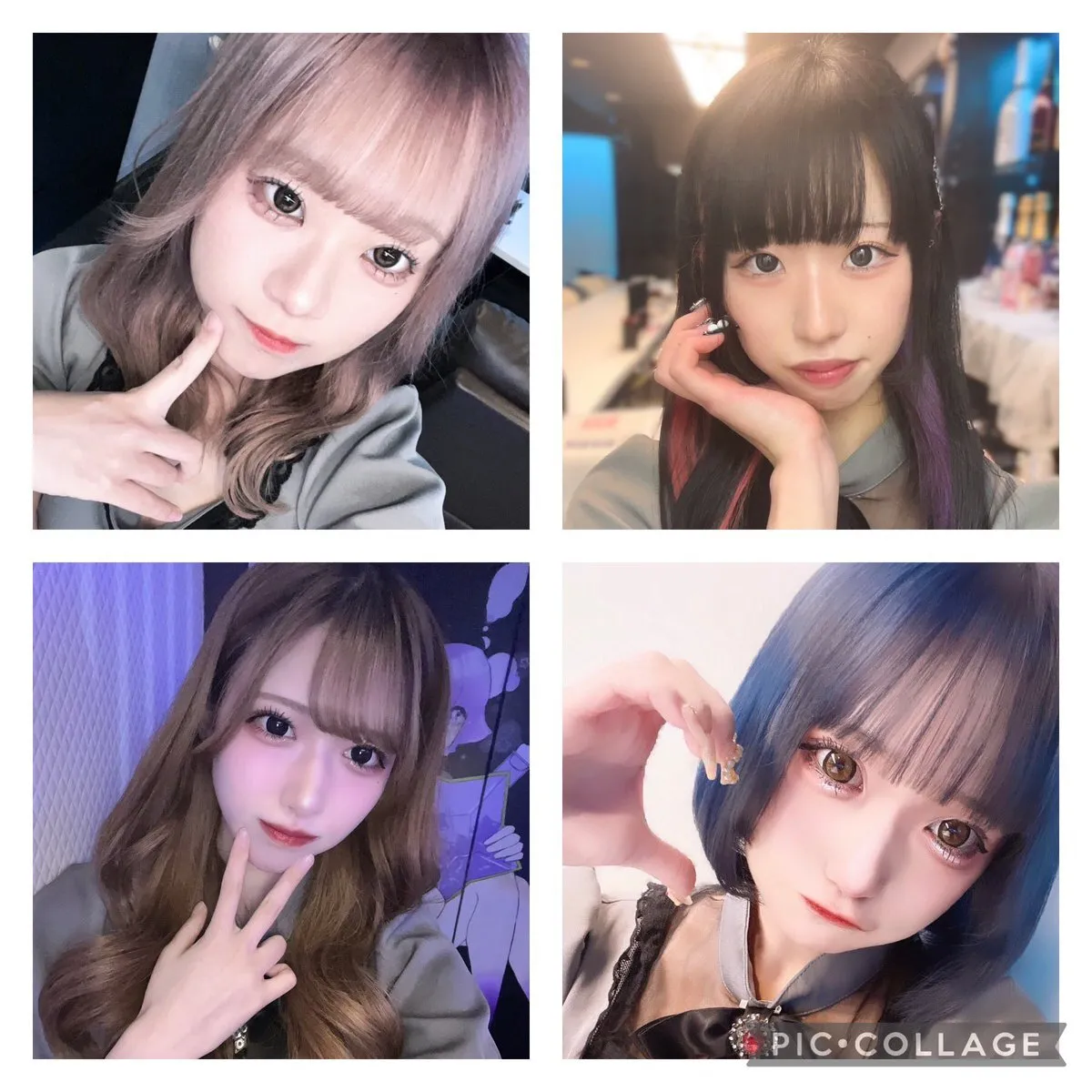 cafe&bar Stella@Stella20226