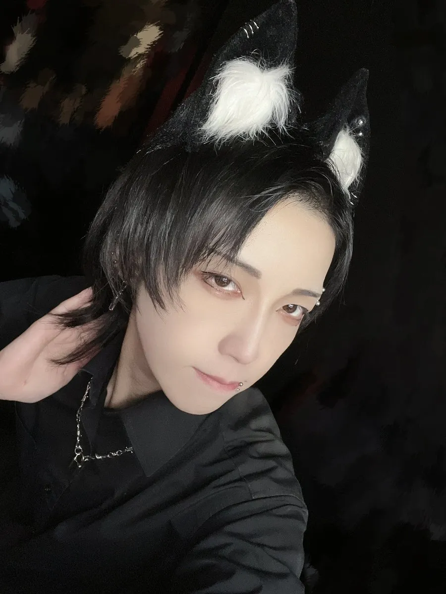 やまと@Feliz@Feliz_yamato_