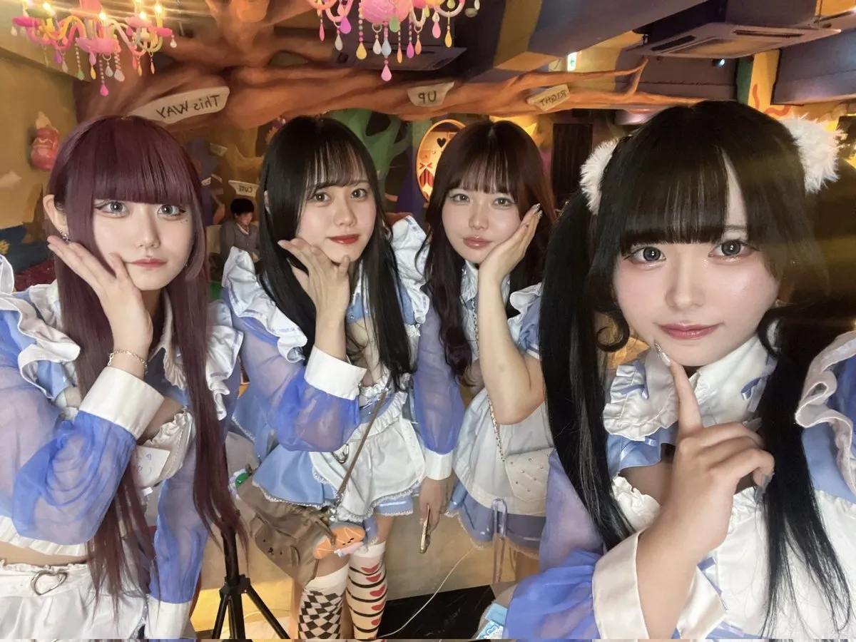 Alice × Alice アリス×アリス 秋葉原コンカフェ@AlicexAlice_Tea