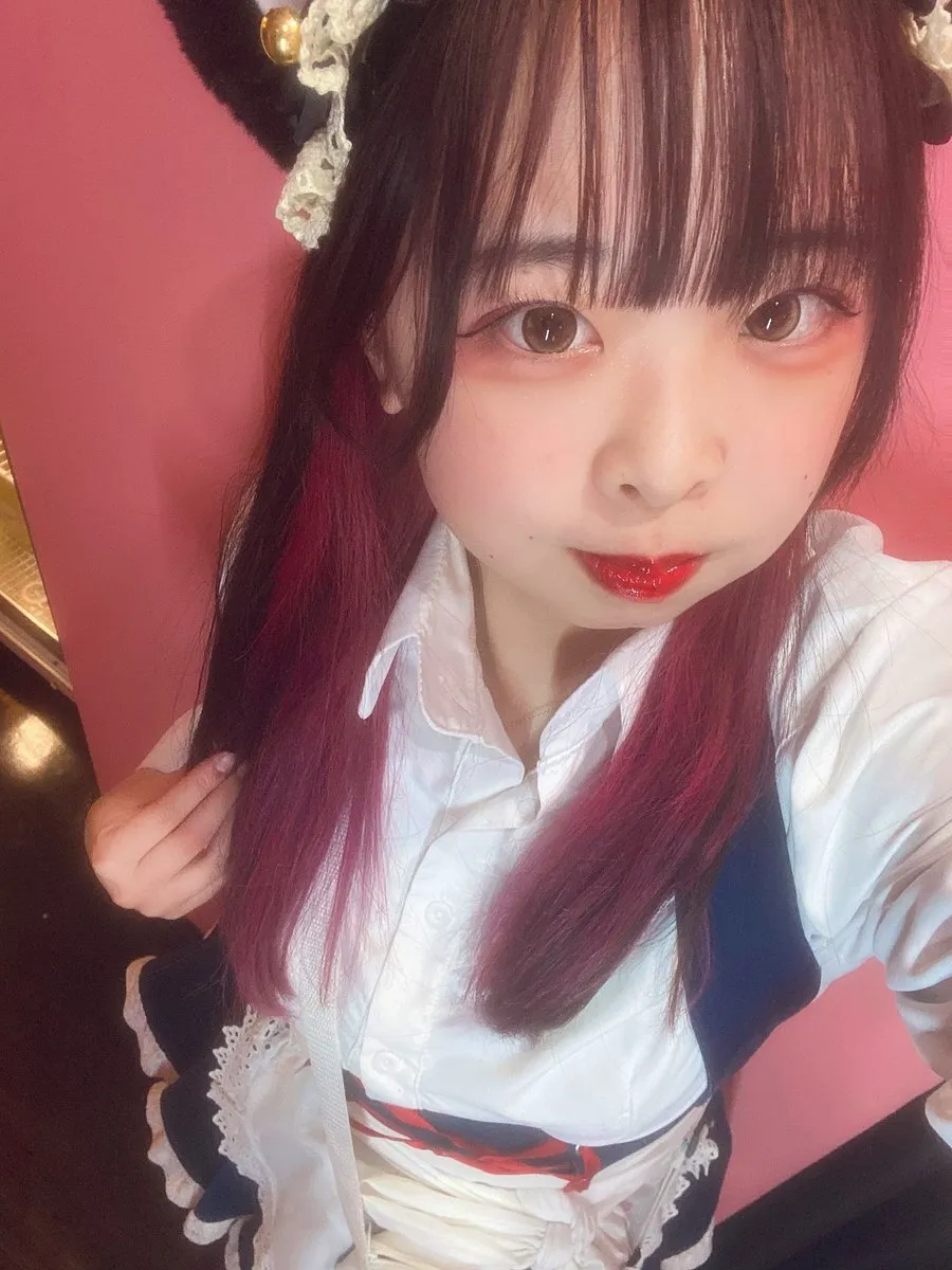 めい@みけねこカフェ秋葉原@meimikecat