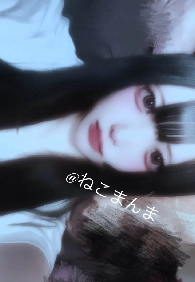 ねこまんま@le_vsr