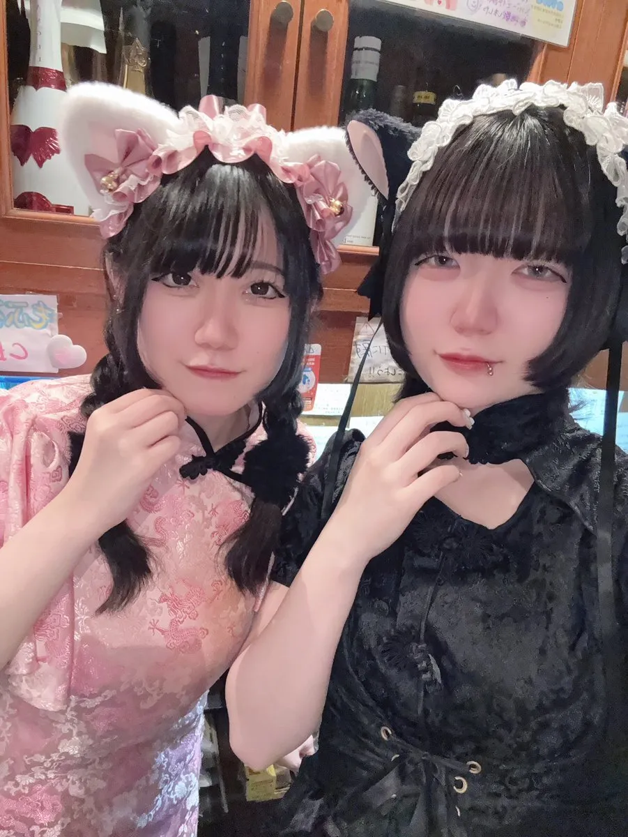 チャイニャコンカフェ桃猫堂 新宿歌舞伎町@コンカフェ最大手@momonekodou001